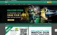baji cricket